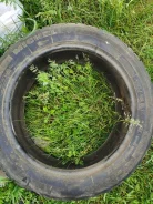Michelin X Radial. ������, ��� �����, �/�, ����� 50�% ����