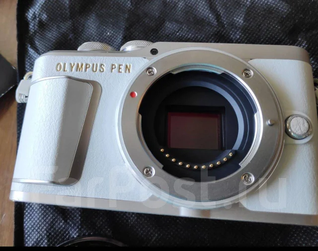 Olympus Pen E-PL9. 15 - 19.9 �� ����