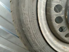 Toyo Eco Walker. ������, �/�, ����� �� 5�% ����