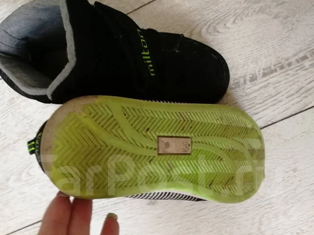 ���������. 35 ����