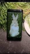 Xiaomi Mi Note 2. �/�, ������, Dual-SIM ����