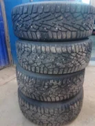 Presa PI01. ������, ����������, 2017 ���, �/�, ����� 10�% ����