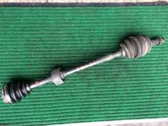 ������ �������� ������ ����