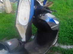 Irbis Nirvana. 150����. ��., ��������, ���, ��� ������� ����