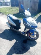 Irbis Nirvana. 150����. ��., ��������, ���, � �������� ����