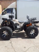 Yamaha Grizzly 250. ��������, ��� ���\���, ��� �������. ��� ����� �� ���������� ����