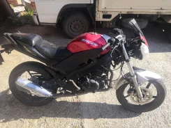 Racer Skyway RC250-CS ����