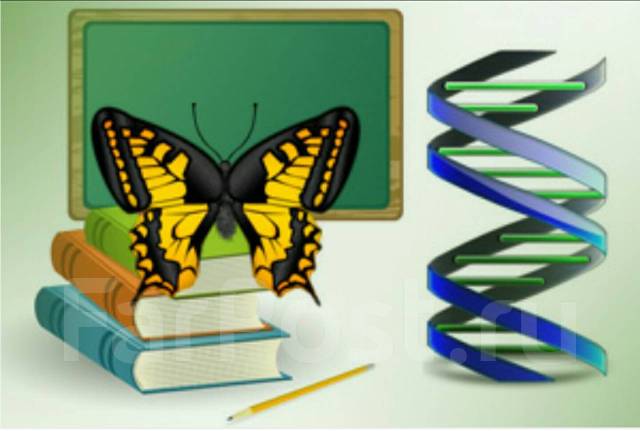 Открытка учителю биологии рисунок