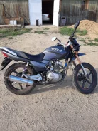 Irbis VR-1. 200����. ��., ��������, ���, � �������� ����