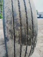 TyRex. �����������, 2019 ���, �/�, ����� 40�% ����