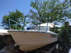 Yamaha STR-16. 1992 ���, ��������� ������������, ������ ����