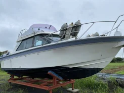 Yamaha SR-25. 1992 ���, ����� 8��., ��������� ������������, 270��.�., ������. ��� ����� �� ������������ ����