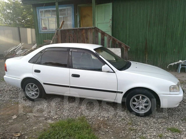 Toyota Sprinter. �������, ��������, 1.5 (100��.�.), ������, 299 931����. �� ����
