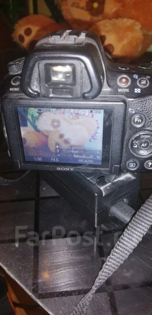 Sony Alpha SLT-A37 ����
