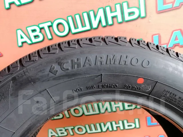 Minerva Eco Winter. ������, ��� �����, 2020 ���, ����� ����