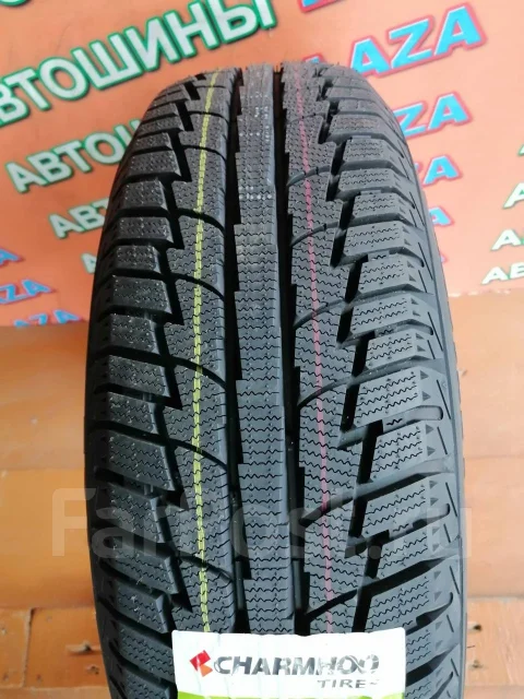 Minerva Eco Winter. ������, ��� �����, 2020 ���, ����� ����