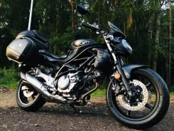 Suzuki SFV 650 Gladius. 650����. ��., ��������, ���, ��� ������� ����