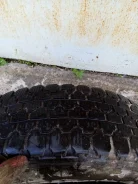 Bridgestone Blizzak PM-20. �����������, 2003 ���, �/�, ����� 70�% ����