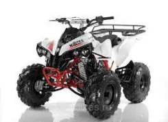 Motax ATV Raptor. ��������, ��� ���\���, ��� ������� ����