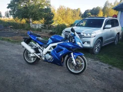 Suzuki SV 1000. 1 000����. ��., ��������, ���, � �������� ����