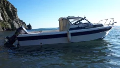 Yamaha Fish 22. ��������� ���������, 115��.�., ������ ����