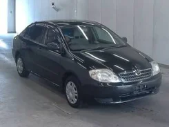 Toyota Corolla. �������, 4wd, ������, 45 000����. ��, �/�, ��� ���. ��� ����� �� ������������ ����