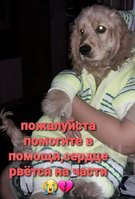 ������. ����