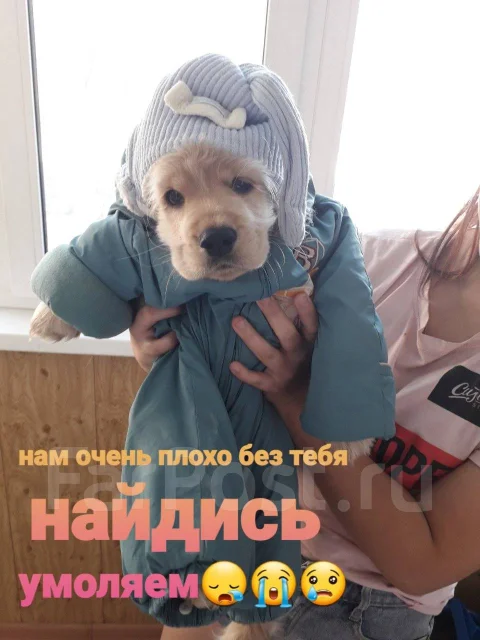 ������. ����