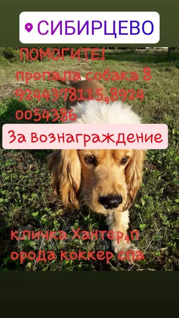 ������. ����