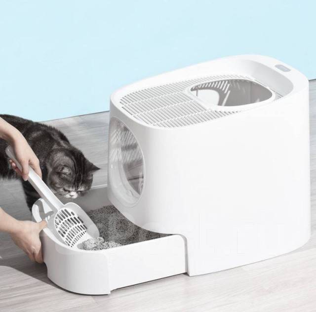 smart cat litter