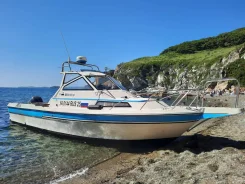 Yamaha F-26. ��������� ���������, 175��.�., ������ ����