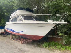 Carver. 1992 ���, ����� 8,5��., ��������� ������������, ������ ����