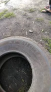 General Tire XP 2000 II. ������, �/�, ����� �� 5�% ����