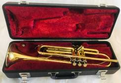 �����. ����