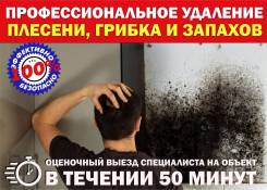 ����������� �������, ������. ����