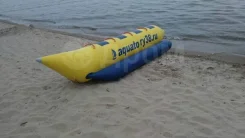 ������ ���. 2019 ��� ����