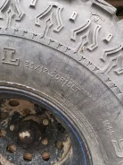 Interco TSL. ����� mt, �/�, ����� 5 % ����