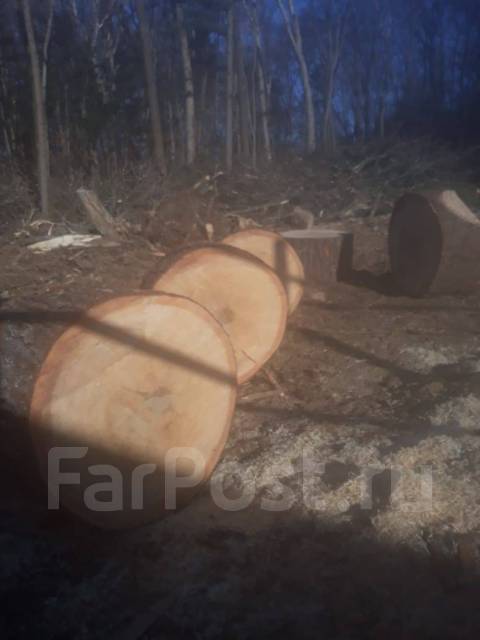 Спил, пилка, деревьев, валка леса, раскорчуем и вывезем пни ...