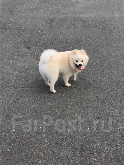 ����. ����