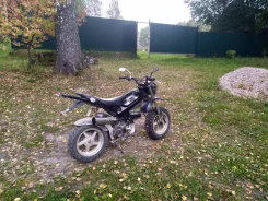 Suzuki Street Magic II. 49����. ��., ��������, ��� ��� ����
