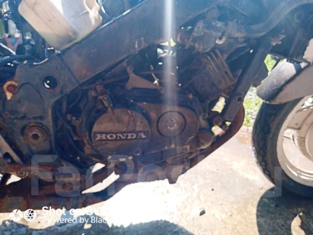 Honda VT 250F ����