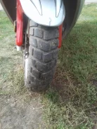 Irbis Nirvana. 150����. ��., ����������, ���, � �������� ����