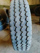 TyRex. �����������, 2019 ���, �/�, ����� 40�% ����