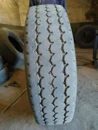 TyRex. �����������, 2019 ���, �/�, ����� 40�% ����