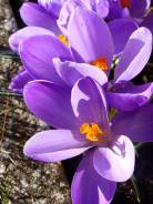 �������. �� ������������ �.�. ����� ����������� 11 ����