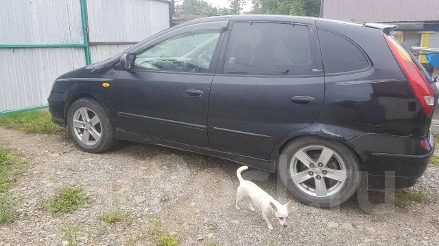 Nissan Tino. ��������, ��������, 2.0, ������ ����