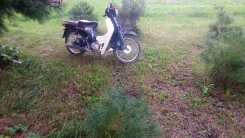 Suzuki Birdie. 49����. ��., ��������, ���������, ������ �� �� ����