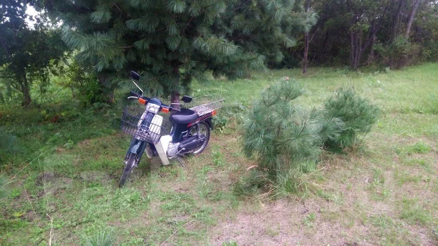 Suzuki Birdie. 49����. ��., ��������, ���������, ������ �� �� ����