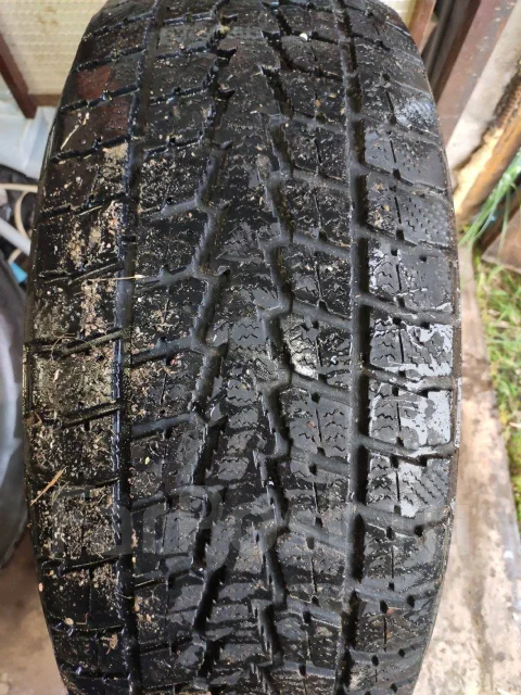 Toyo Winter Tranpath S1. ������, ��� �����, 2014 ���, �/�, ����� 30 % ����