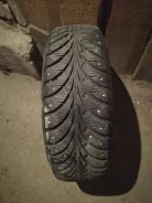 Sava Eskimo. ������, ����������, 2018 ���, �/�, ����� 10�% ����